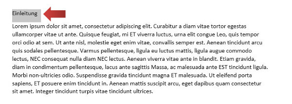 Inhaltsverzeichnis erstellen, Screenshot 1